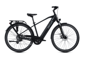 deruiz e-bike erfahrungen