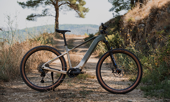 MTB