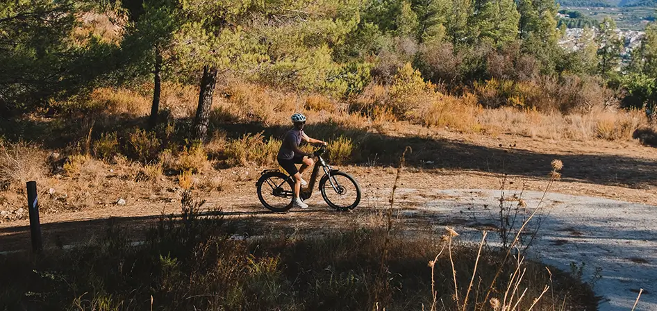 Deruiz MICA PRO – Der moderne Allrounder unter den E-Bikes